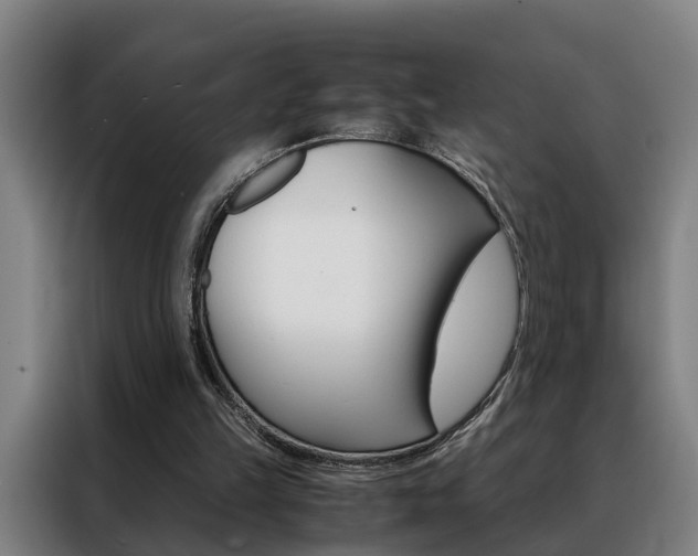 X0000088440149200705220922