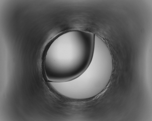 X0000088440150200705220922