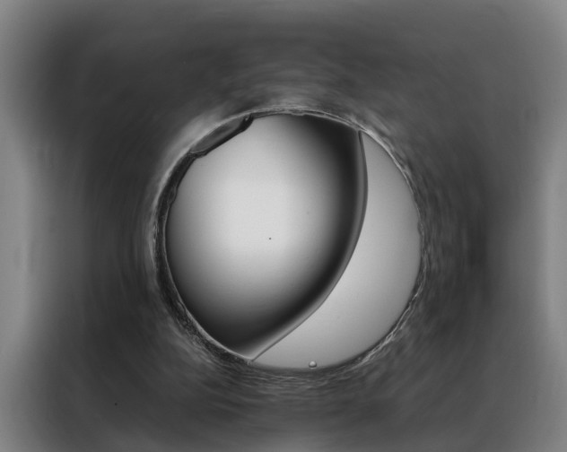 X0000088440152200705220922