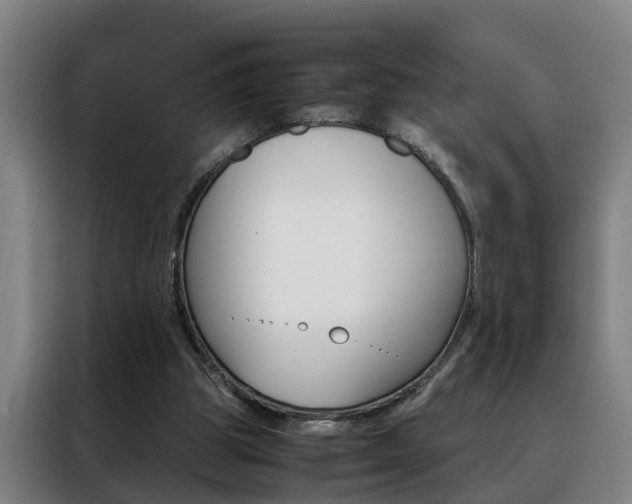 X0000088440153200705220922