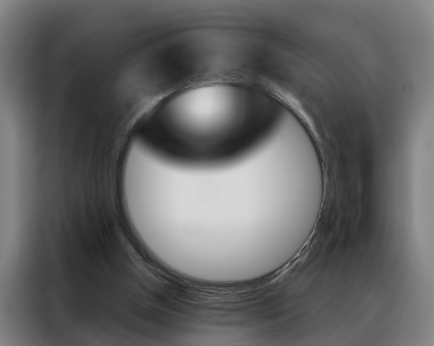 X0000088440154200705220922