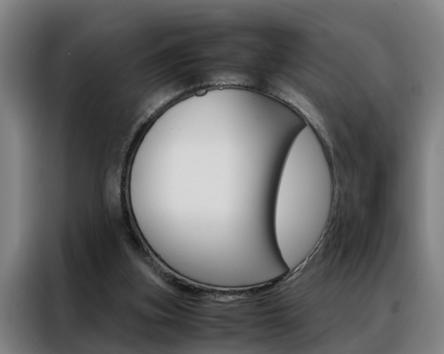 X0000088440155200705220922