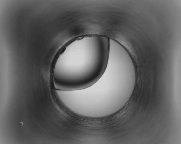 X0000088440156200705220922