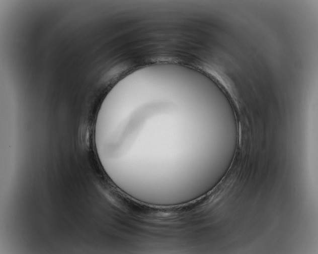 X0000088440157200705220922