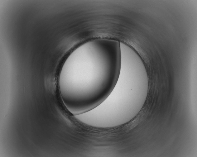 X0000088440160200705220922