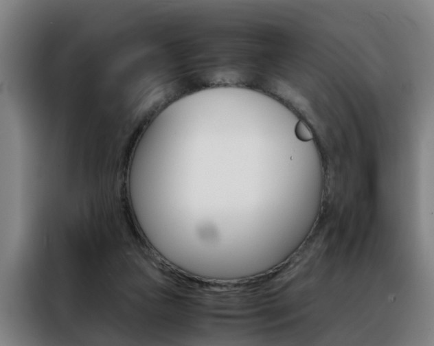 X0000088440161200705220922