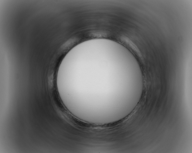 X0000088440163200705220922