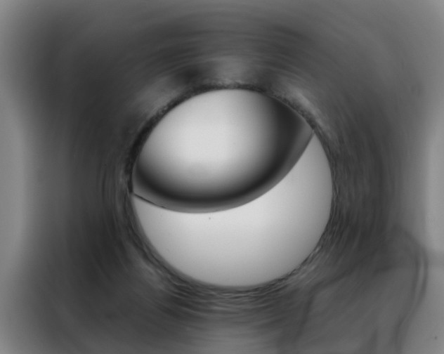 X0000088440164200705220922