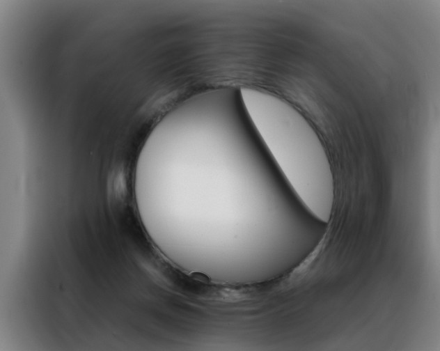 X0000088440166200705220922