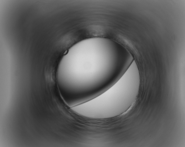 X0000088440170200705220922