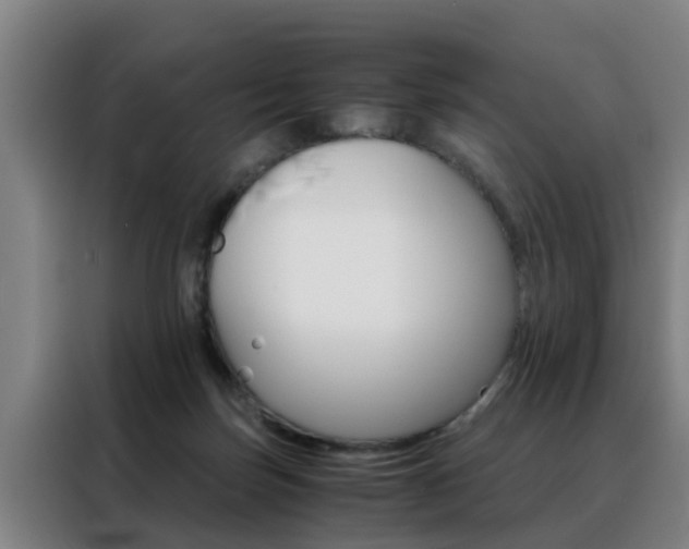 X0000088440171200705220922