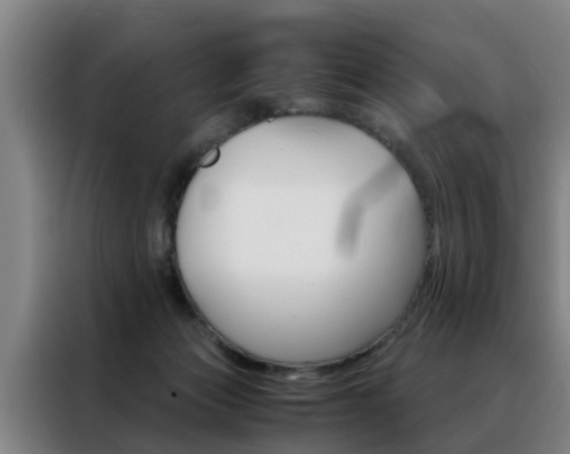 X0000088440173200705220922