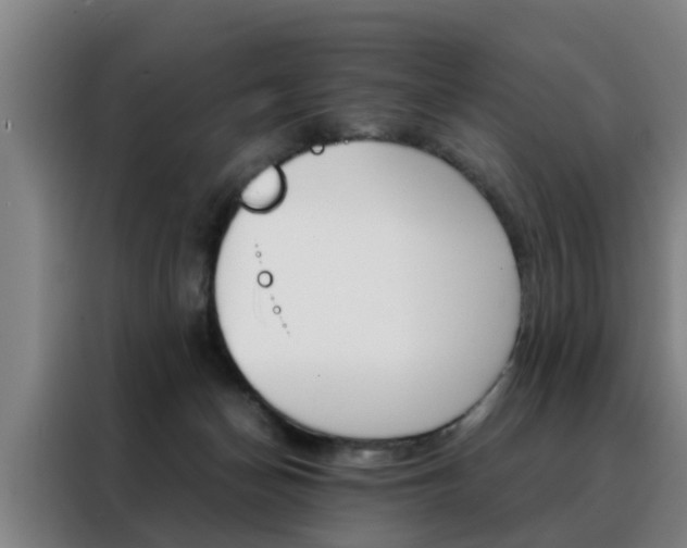 X0000088440174200705220922