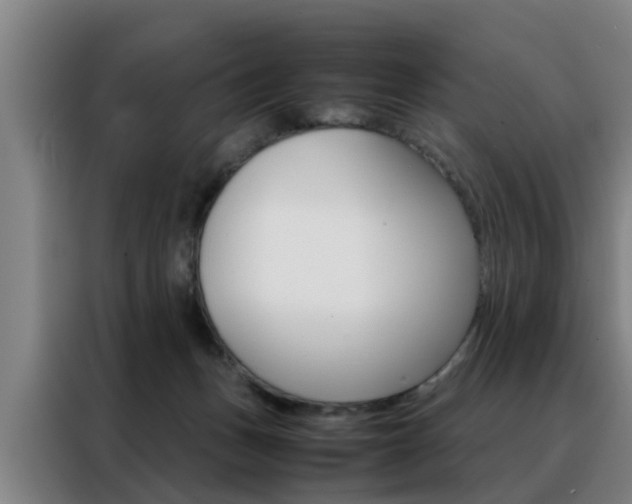 X0000088440175200705220922