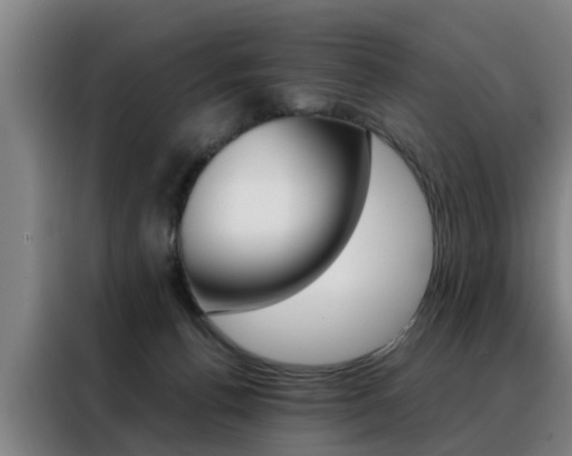 X0000088440176200705220922