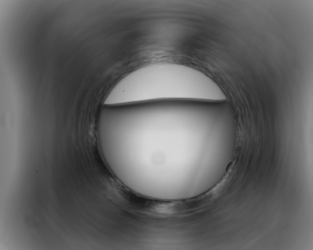 X0000088440178200705220922