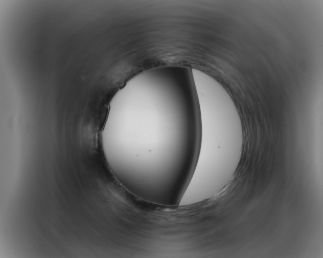 X0000088440180200705220922