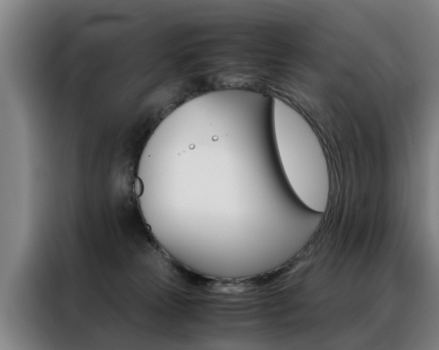 X0000088440181200705220922
