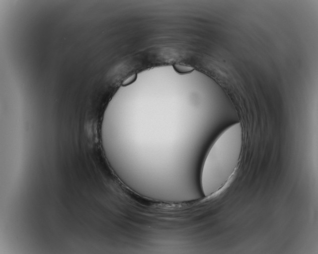 X0000088440182200705220922