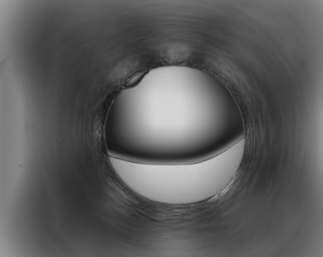 X0000088440184200705220922