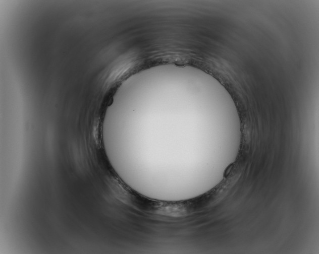 X0000088440185200705220922