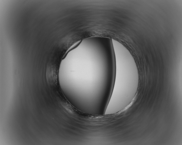 X0000088440186200705220922