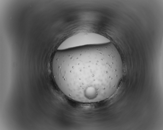 X0000088440187200705220922