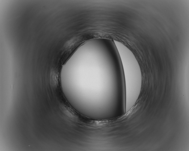 X0000088440188200705220922