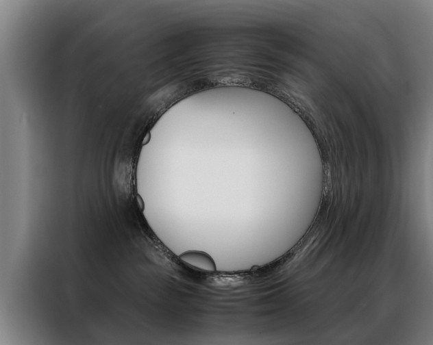 X0000088440189200705220922