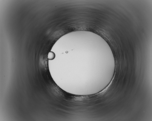 X0000088440190200705220922