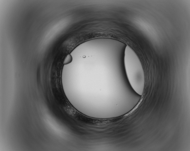 X0000088440191200705220922