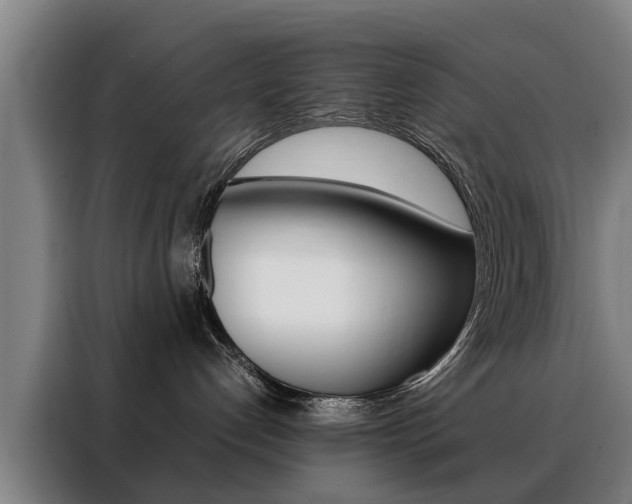 X0000088440192200705220922