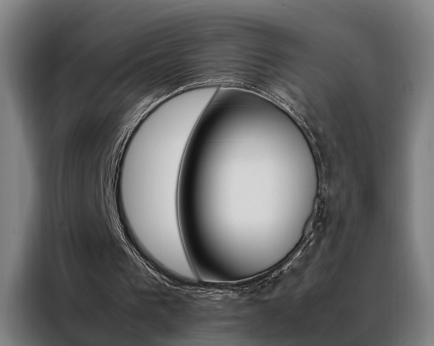 X0000088440193200705220922