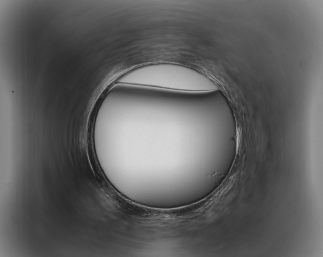 X0000088440195200705220922
