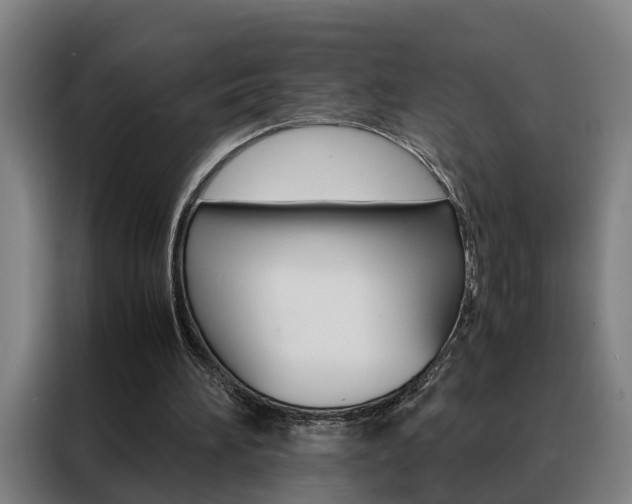 X0000088440196200705220922