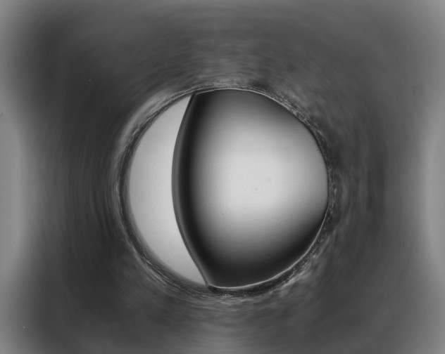 X0000088440197200705220922