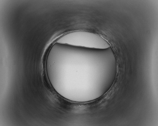 X0000088440198200705220922