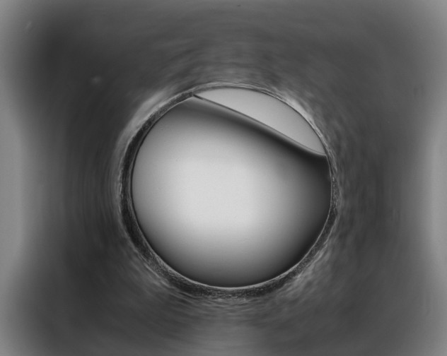 X0000088440199200705220922