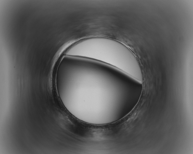 X0000088440200200705220921