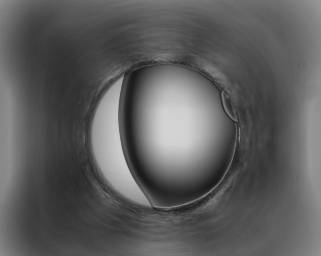 X0000088440201200705220921