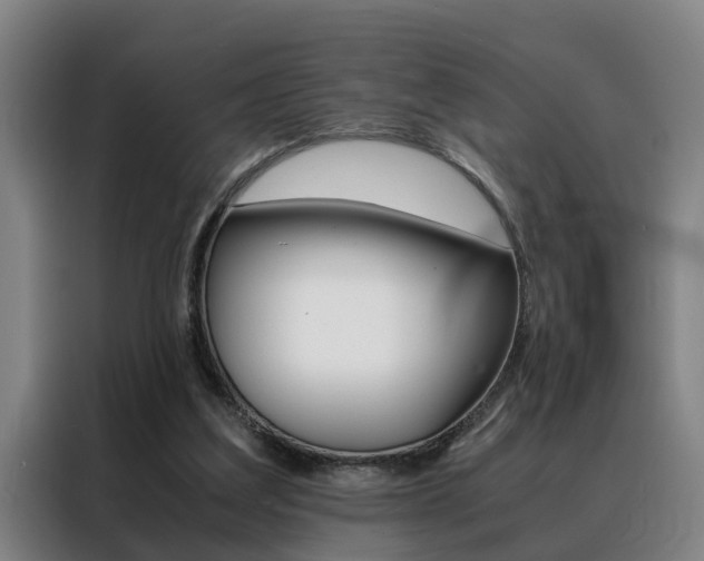 X0000088440203200705220921