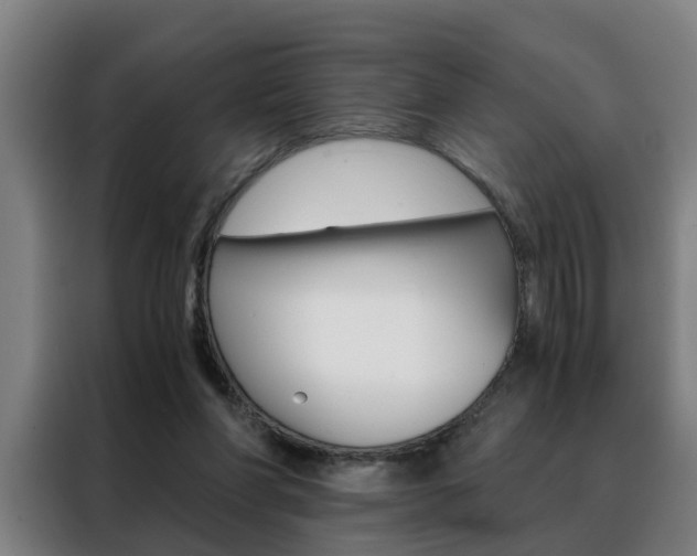 X0000088440206200705220921