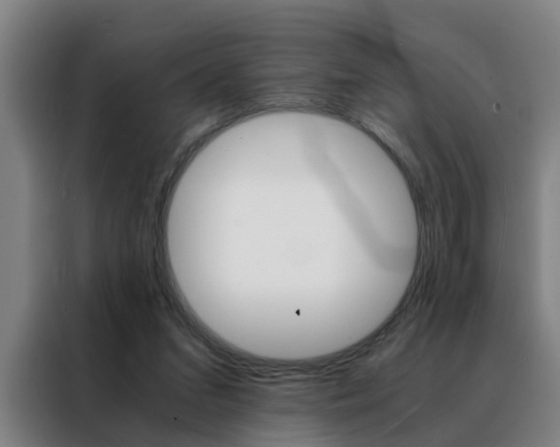X0000088440207200705220921