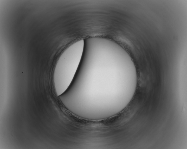 X0000088440210200705220921