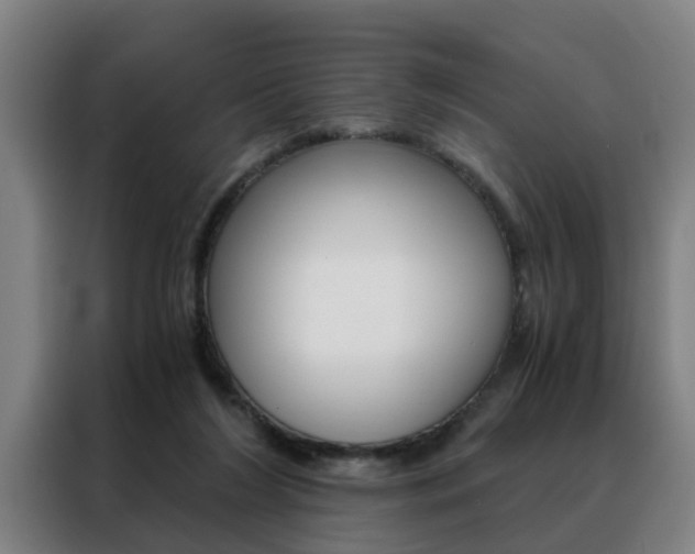 X0000088440212200705220921