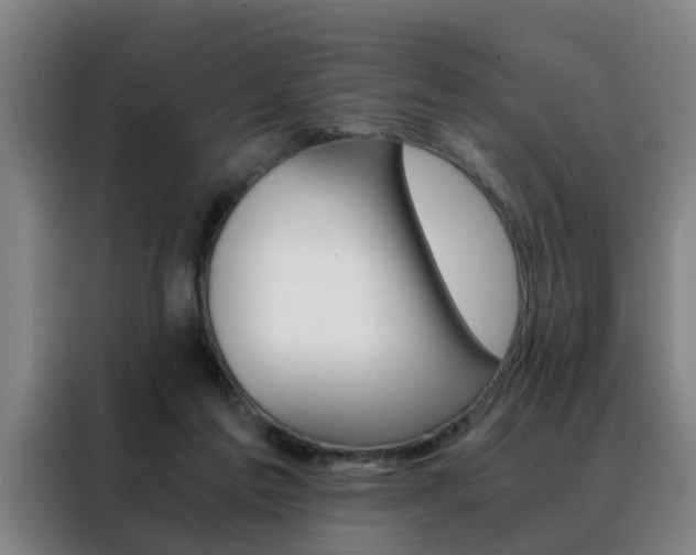 X0000088440213200705220921
