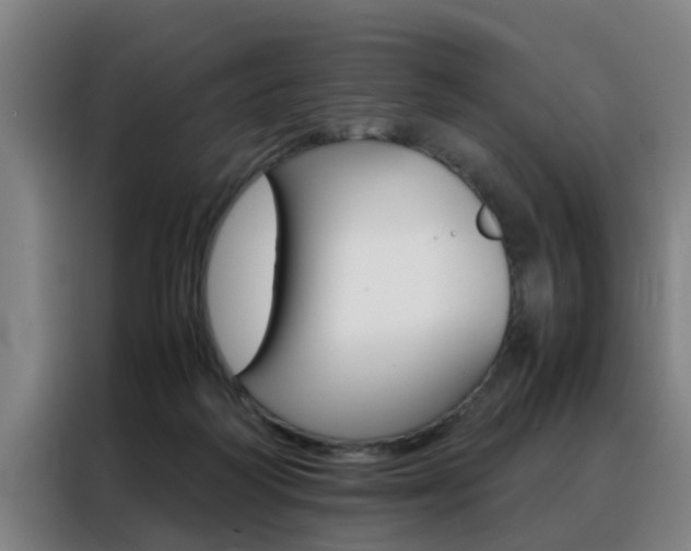 X0000088440218200705220921