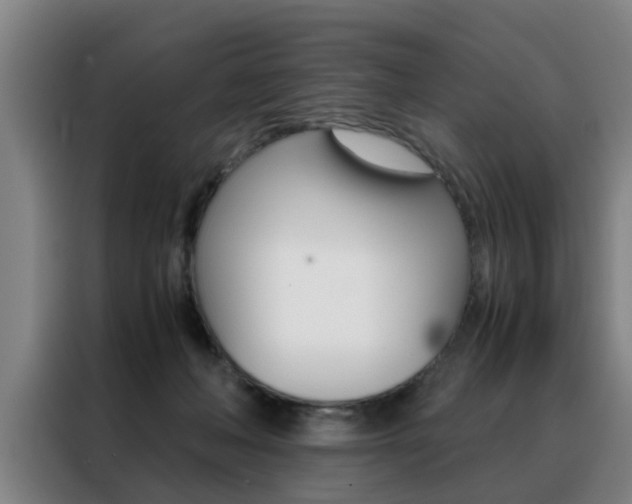 X0000088440222200705220921