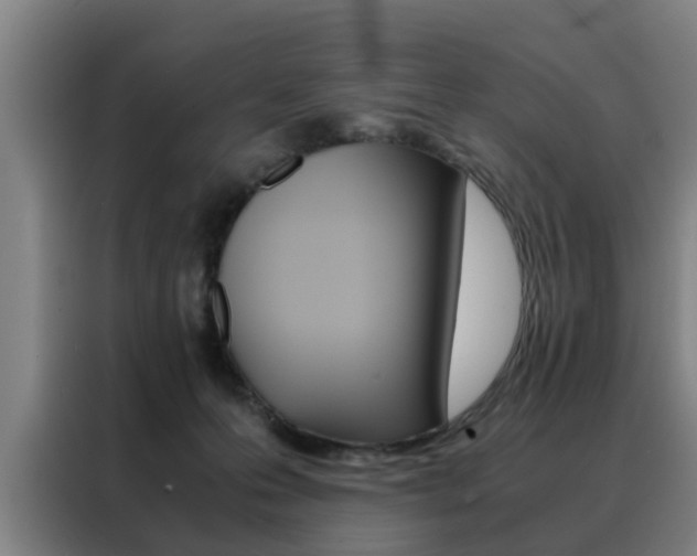 X0000088440223200705220921