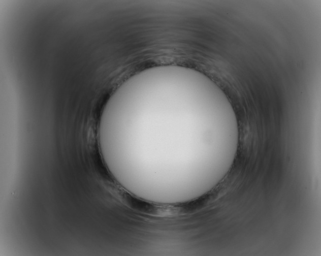 X0000088440226200705220921
